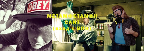 ГАЛЛЮЦИНОГЕННЫЕ ГРИБЫ Верея