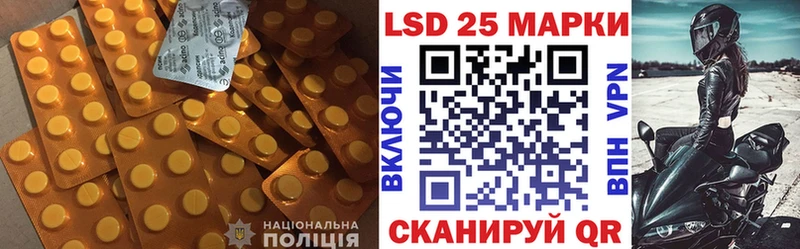 дарк нет официальный сайт  где продают наркотики  Заинск  ЛСД экстази ecstasy 